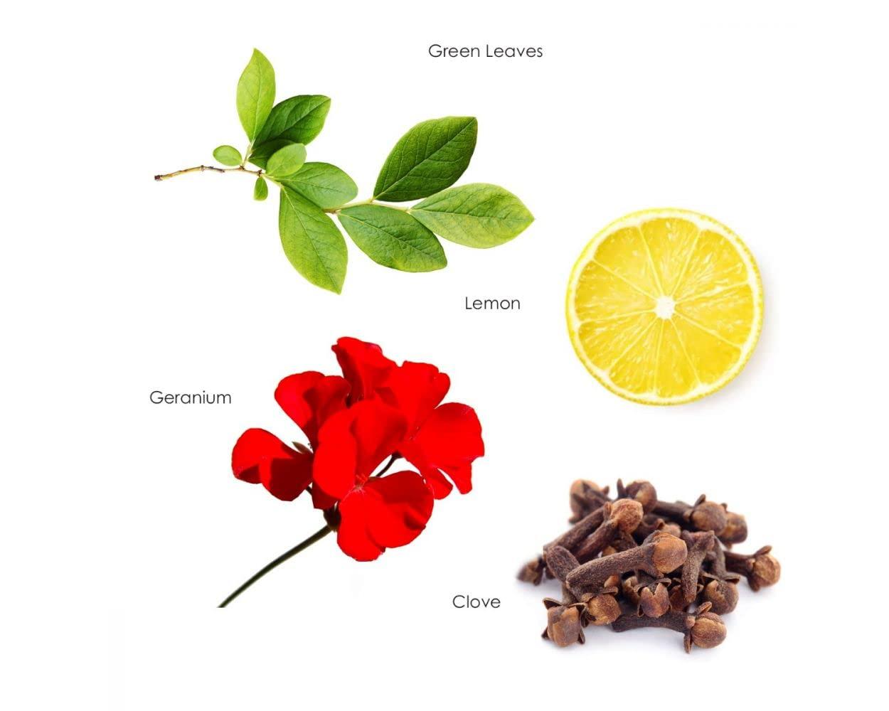 Gilchrist & Soames Gilchrist & Soames London Hand and Body Lotion - 15.5oz - Antioxidant Rich, Nourishing, Zero Parabens, Sulfates, and Phthalates