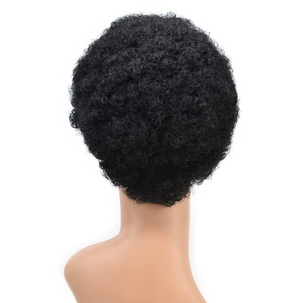 LYRICAL HAIR LYRICAL HAIR Afro Kinky Curly Wigs for Black Women Short Soft Brazilian Human Hair Natural Full Machine Made None Lace Front Glueless Wig for African American Ladies (#1 Jet Black)