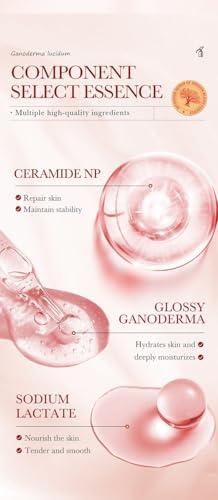 BLDOXJF Facial Anti-Wrinkle SerumDragon Blood Anti-Ageing SerumDragon\'s Blood Essential,All Natural Antioxidant Face Serum Liquid(4Count (Pack of 4))