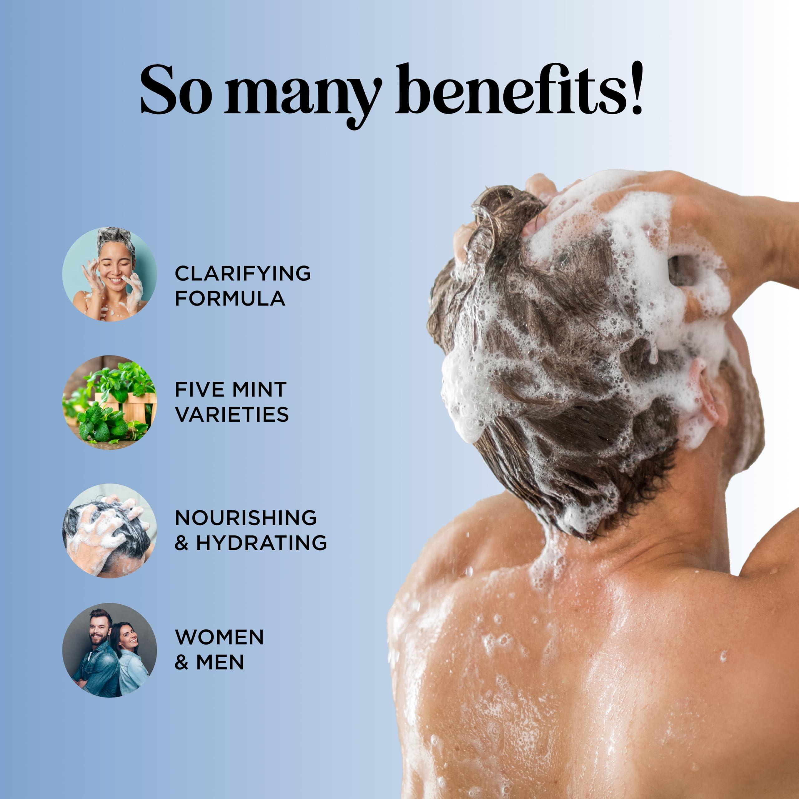 Maple Holistics Sulfate Free Hard Water Shampoo - Deep Clarifying Shampoo for Build Up of Product and Minerals with Five Cleansing Mint Essential Oils for Replenishing Hydration and Hair Shine - Vegan & Cruelty Free