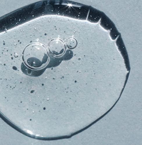 Saltair Saltair - Body Wash (Seascape) (Pack of 1), 17.0 Fl Oz