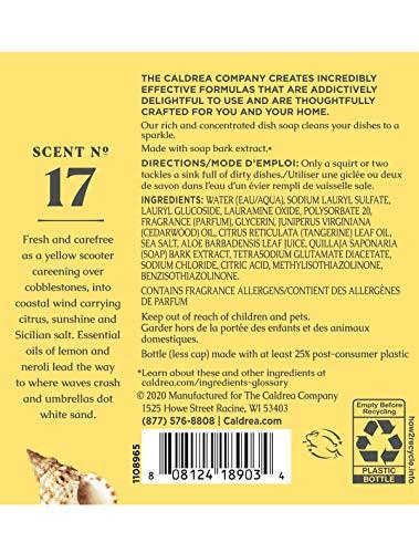 Caldrea Caldrea Dish Soap, Biodegradable Dishwashing Liquid made with Soap Bark and Aloe Vera, Sea Salt Neroli, 16 oz , 3 Pack