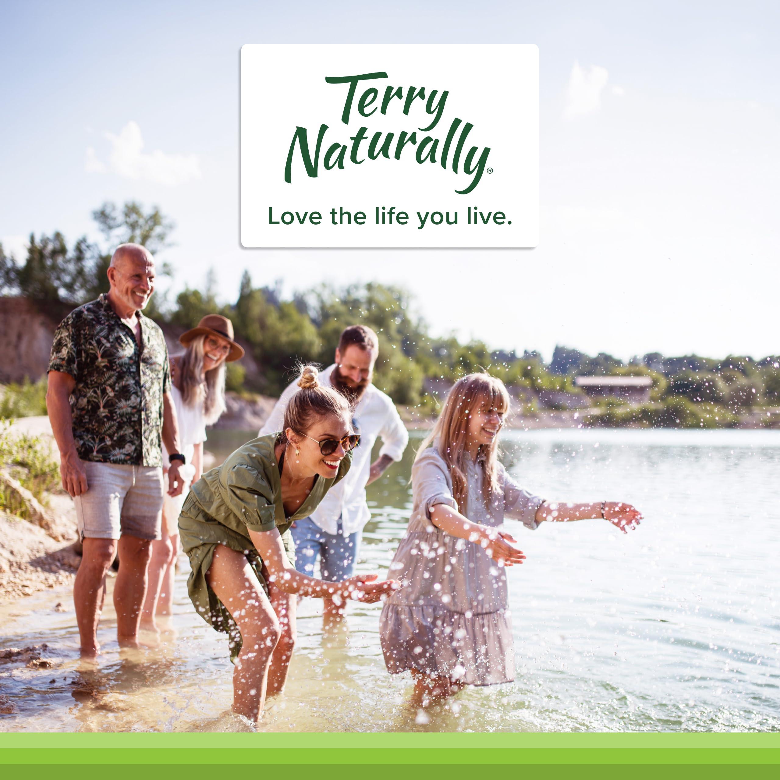 Terry Naturally Terry Naturally Traumaplant Comfrey Cream - Non-Staining Herbal Cream - Clinically Studied and Free of Pyrrolizidine Alkaloids - for External Use Only - 1.76 oz (2 Pack)