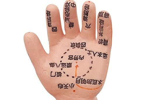 ZHONGJIUYUAN ZHONGJIUYUAN Acupoint and Trigger Point Babies Mannequin children Model 20inch Child Massage Study