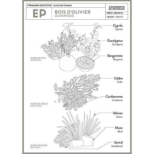 La Compagnie de Provence Compagnie de Provence Savon de Marseille Extra Pure Liquid Soap - Olive Wood - 33.8 fl oz Plastic Bottle Refill