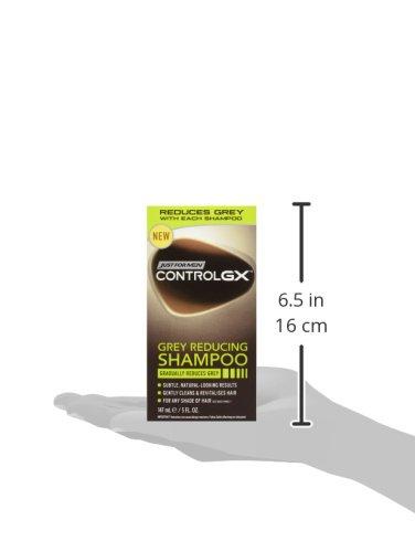 Just for Men Just For Men Control GX Grey Reducing Shampoo, 5 Fluid Ounce