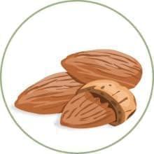 Generic Original Adiwasi Hair Growth Oil 200 ML Ayurvedic Adiwasi Herbal Kesh tel with Natural Rosemary essential & Biotin for Control Hairfall anti-dandruff PACK OF - 2, Clear