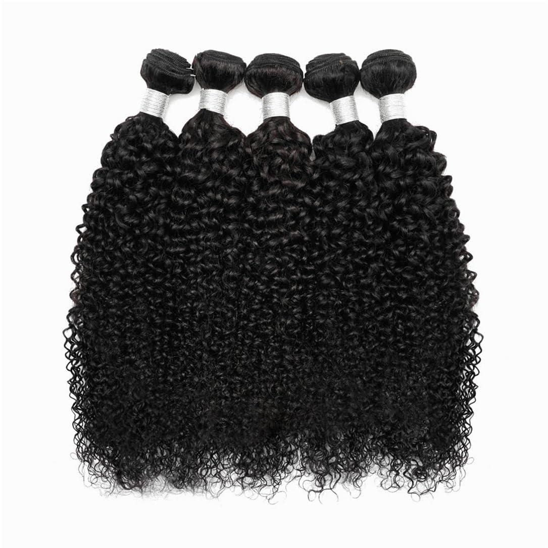 Adhdyuud Bundle Jerry Curly Human Hair Bundles Remy Indian Hair Extensions Black Color Double Wefts Curly Hair 3Pcs/Lot 20inches