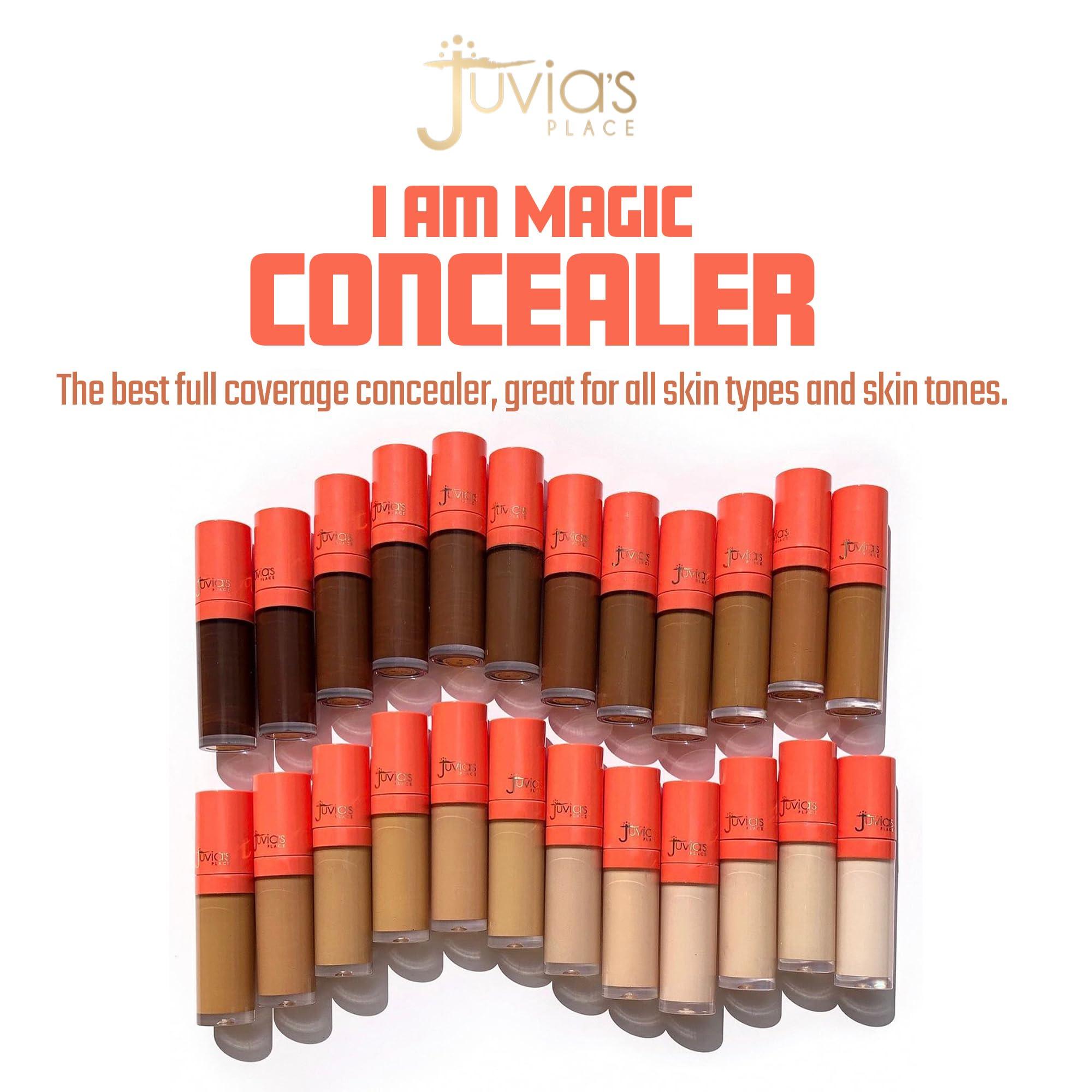 Juvia's Place Juvia's Place I Am Magic Liquid Concealer J4 - Deepest Dark w/Cool Undertone / 0.34 fl oz, Full Coverage, Hydrating, Waterproof, Long Wear