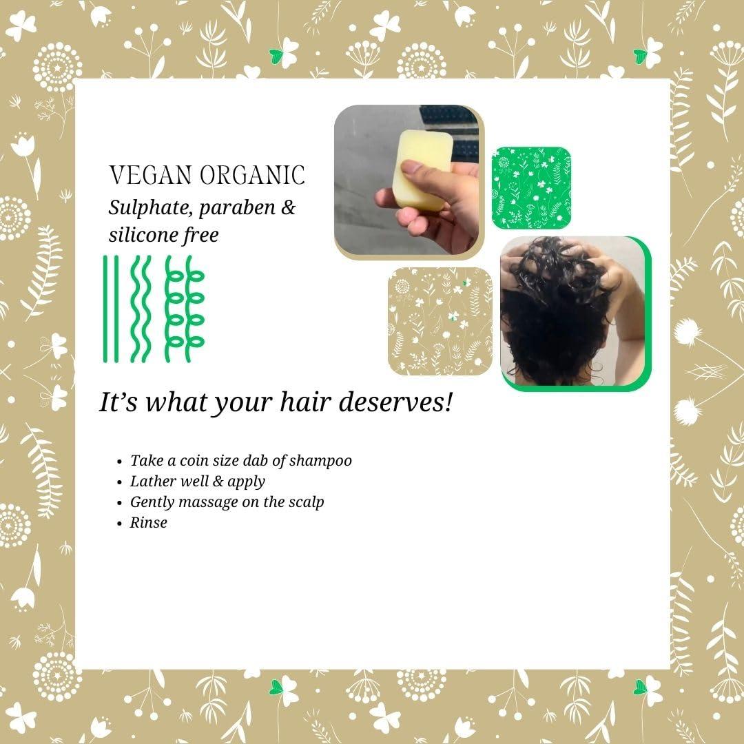 Rustic Art Rustic Art Biodegradable Shampoo | SLS & Paraben Free (Aloe Clary Sage Shampoo)