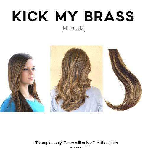 TLHS Easy Toner Kit for Blondes, Ombre, and Balayage | Hair Gloss/Glaze Professional | 2 Applications (Kick My Brass)