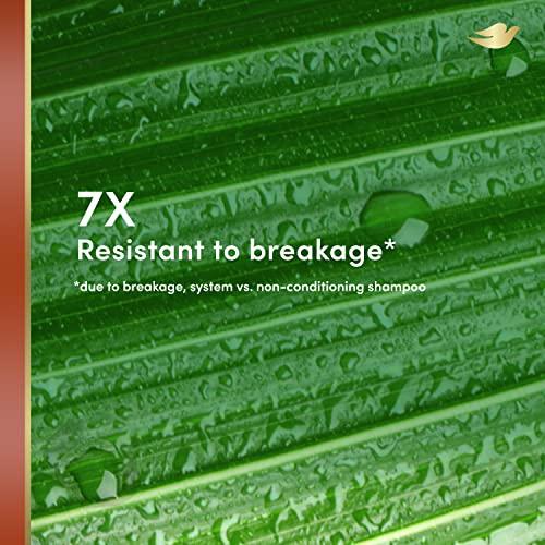 Dove Dove RE+AL Bio-Mimetic Care Shampoo For Breakage-Prone Hair Resist Sulfate-Free Shampoo With Coconut + Vegan Elastin 10oz