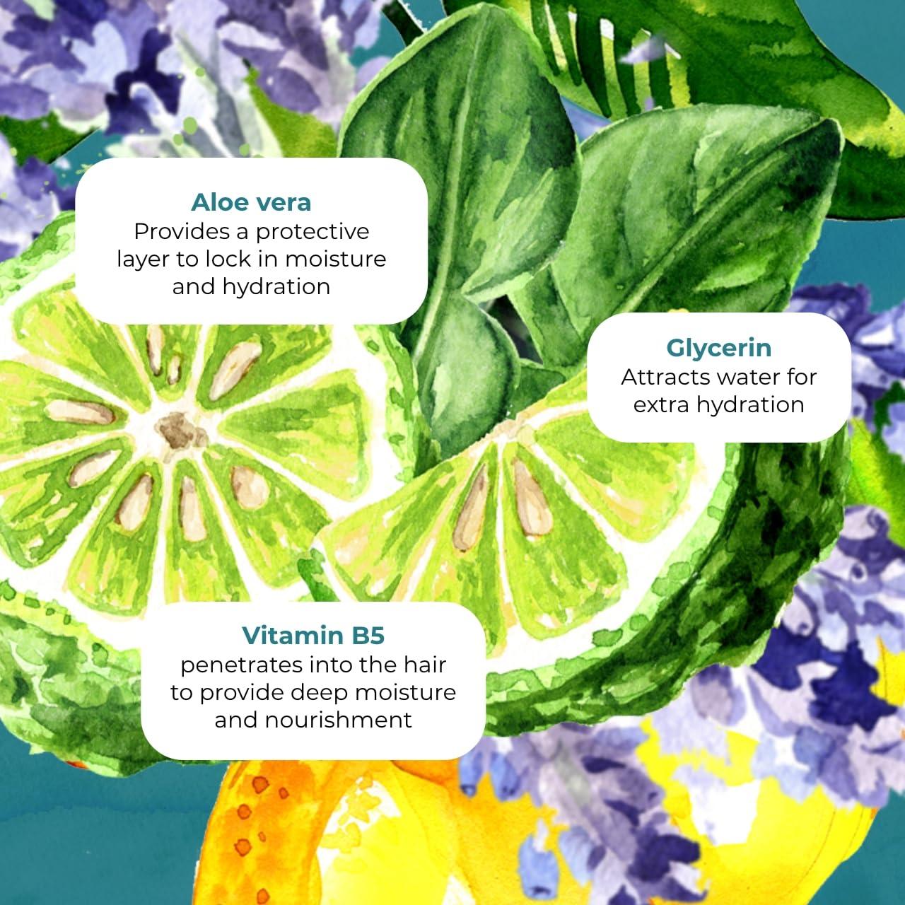 TEMPLESPA TEMPLESPA | Good Hair Day | Luxury Hair Shampoo for Smooth and Healthy Looking Hair Natural Ingredients, Free from Parabens, Phthalates and Sulphates, Cruelty-Free, Vegan 10 fl.oz.