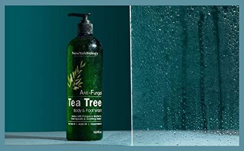 NEW YORK BIOLOGY THE ULTIMATE COSMECEUTICALS New York Biology Tea Tree Body Wash with Tea Tree Mint Body Wash for Men and Women - Helps Jock Itch & Itchy Skin, Nail Fungus, Athletes Foot, Eczema & Body Odor, Ringworms – 16 Fl Oz