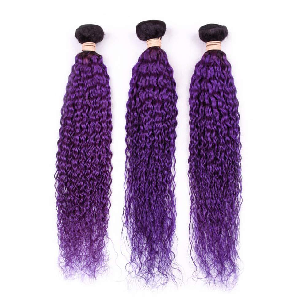 Tony beauty hair Tony Beauty Hair #1B/Purple Ombre Curly Human Hair Bundles Deals 3Pcs Lot Jerry Curly Ombre Purple Brazilian Human Hair Weave Extensions Dark Roots Double Wefts 10-30" Mixed Length (26 28 28)