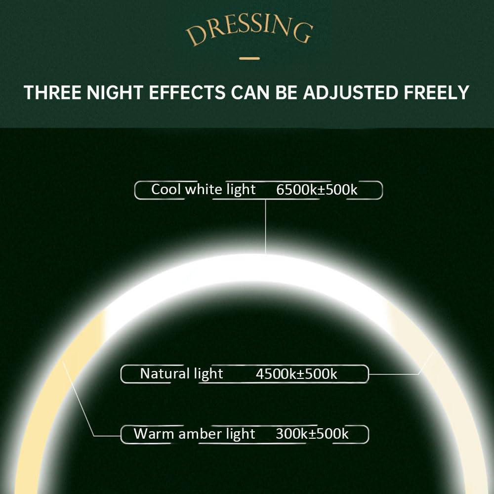 FEOKUMO Makeup Organizer Holder with Mirror and Light, Portable Cosmetic Display Case, Great for Bathroom Countertop Bedroom Dresser (white)