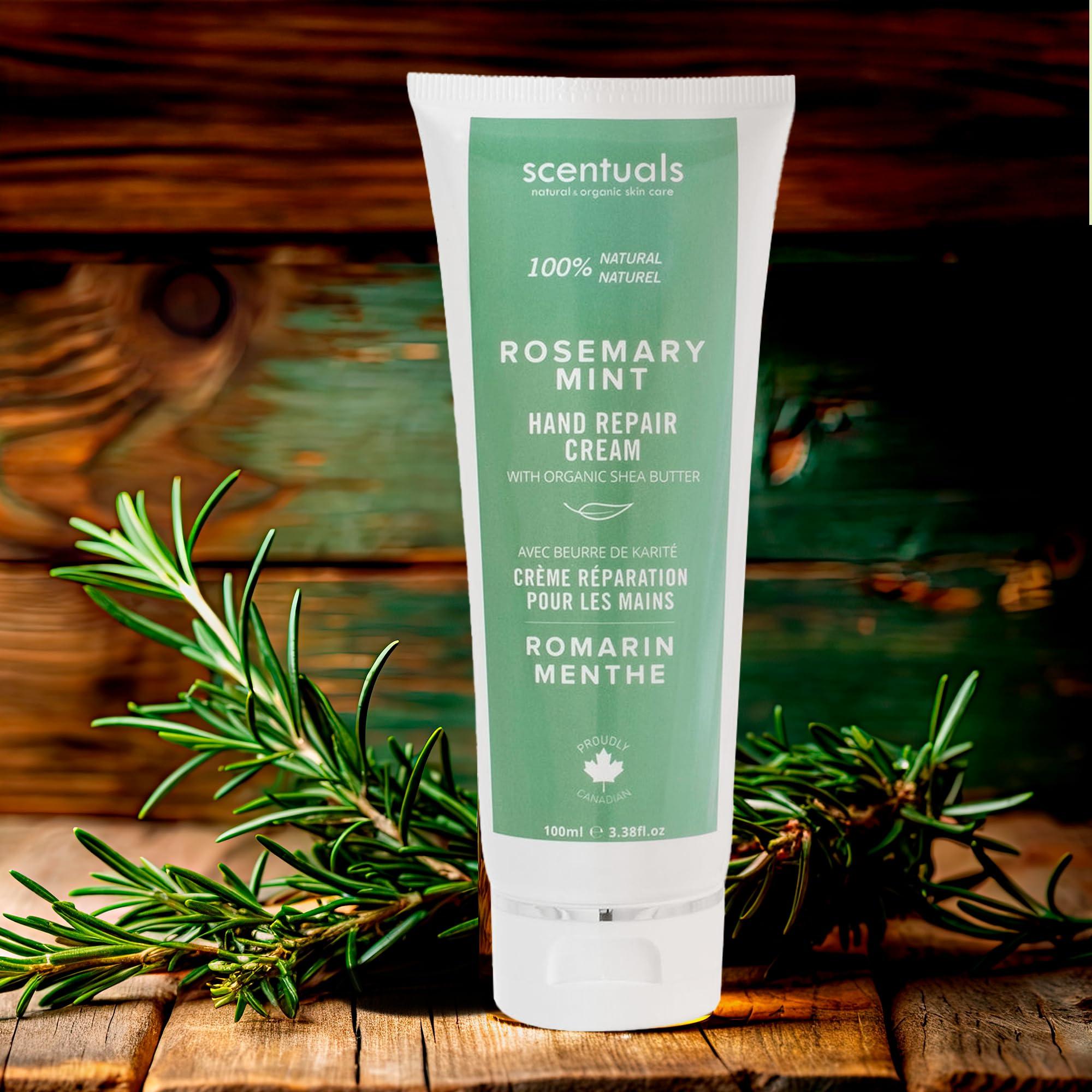 Scentuals Hand Cream with Rosemary & Mint Essential Oil, Shea Butter, Cocoa Butter, Argan & Almond oil, Vitamin E and Aloe Vera, for Moisturizing Dry Hands, Cruelty Free, Natural Skin Care, 100 ml, 3.4 fl.oz