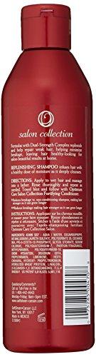 Soft-Sheen Carson SoftSheen-Carson Optimum Salon Haircare Defy Breakage Fortifying System Hair Restore Shampoo, 13.5 fl oz