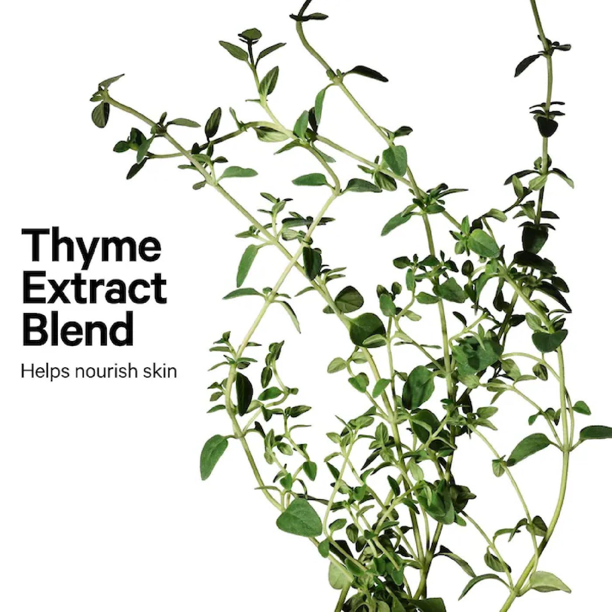 Milk Makeup Milk Makeup Sculpt Stick, Toasted (Fair to Light) - 0.19 oz - Cool-Toned Cream Contour Stick - Buildable, Blendable Color - 1,000+ Swipes Per Stick - Non-Comedogenic - Vegan, Cruelty Free