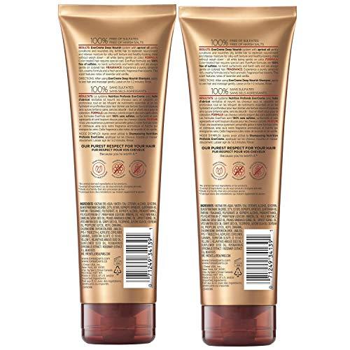 L'Oreal Paris LOral Paris EverCreme Sulfate Free Conditioner for Dry Hair, Triple Action Hydration for Dry, Brittle or Color Treated Hair, with Apricot Oil, 8.5 Fl; Oz (Pack of 2) (Packaging May Vary)