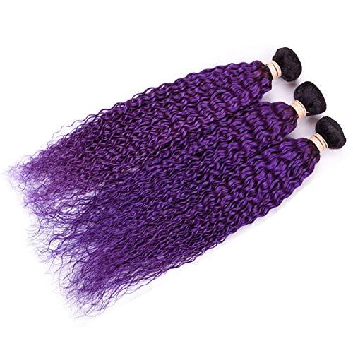 Tony beauty hair Tony Beauty Hair #1B/Purple Ombre Curly Human Hair Bundles Deals 3Pcs Lot Jerry Curly Ombre Purple Brazilian Human Hair Weave Extensions Dark Roots Double Wefts 10-30" Mixed Length (26 28 28)
