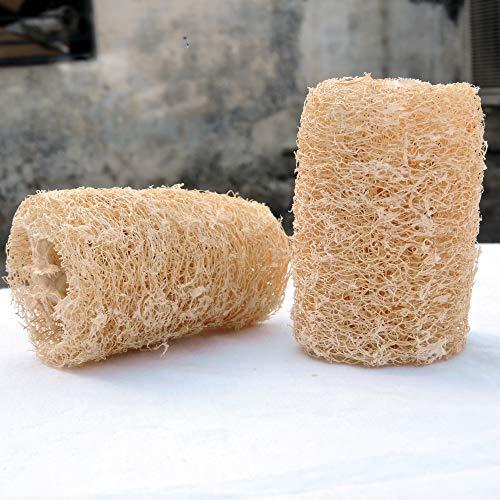 HealthGoodsIn HealthGoodsIn - Organic Loofa Natural Bath Sponge, Set of 2 Exfoliating Bath Sponge Scrubber | Naturally Grown Loofah (Set of 2)