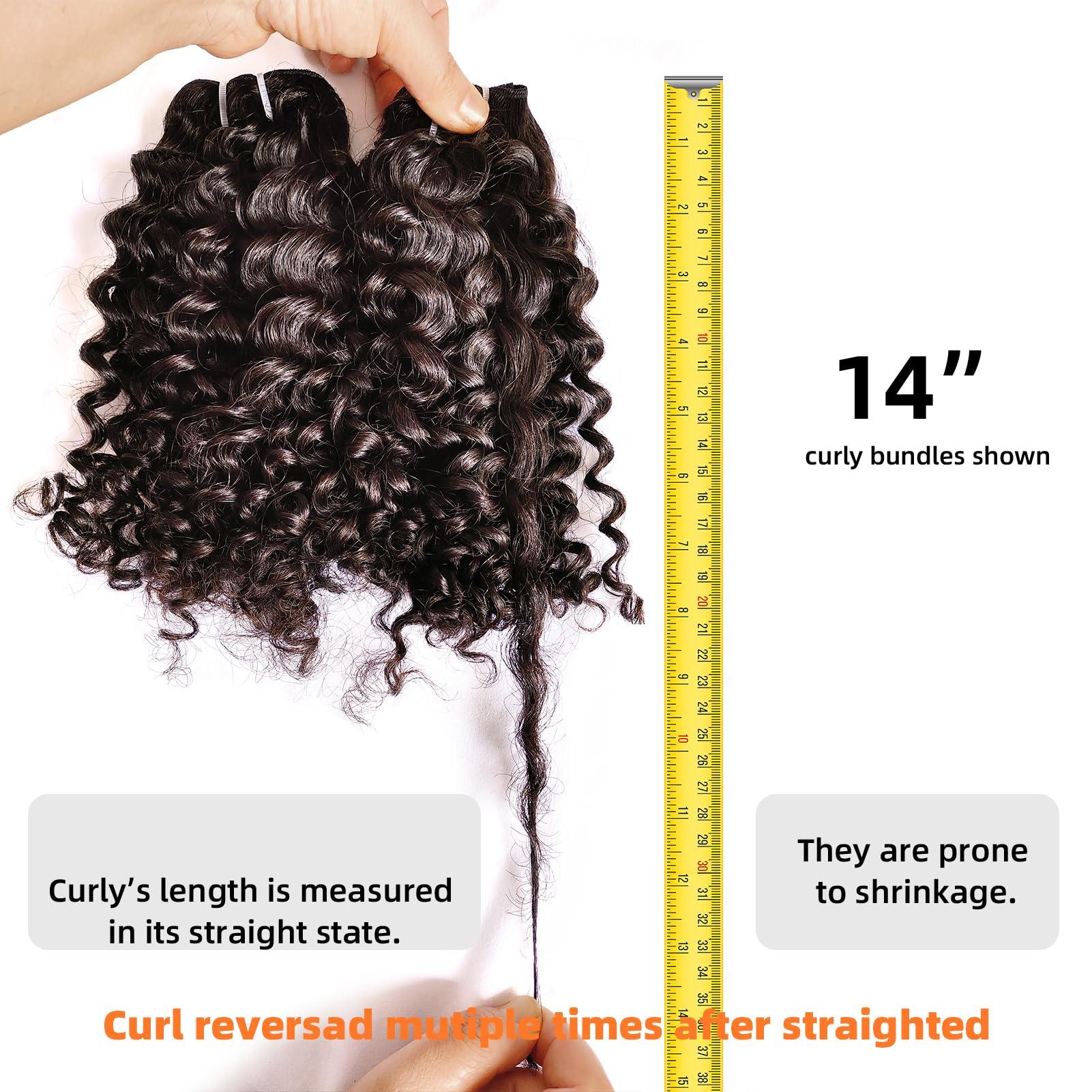 Clytie Clytie Raw Natural Brown Curly Bundles Human Hair, 5 Years Lasting Tight Curly 2 Bundles Human Hair Dark Brown Real Unprocessed Virgin Human Hair Deep Curly Weave Sew in 18 20 Inches Lift 613