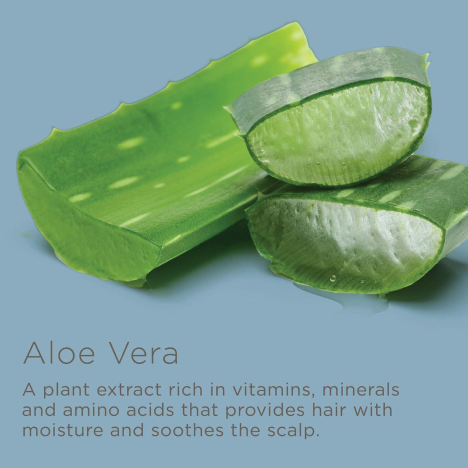 Hairitage Hairitage Dont Wait Up Anti Dandruff Overnight Scalp Relief Scalp Mist - For Dry, Itchy Scalp - Calms Irritated Scalp - Absorbs Quickly - Formulated with Aloe Vera + Peppermint, 4 Fl Oz