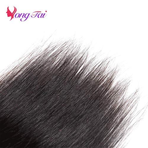 Alaffia Alaffia Whipped Shea Butter and Coconut Oil, for Smooth, Soft Skin, Unscented 4 Oz