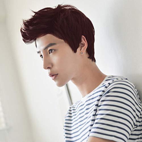 FeiFei66 FeiFei66 Fashion High Temperature Fiber Short Wigs for Men Wig Man Male Brown Black Handsome Cool Wig 4.7 inches / 12cm (A)