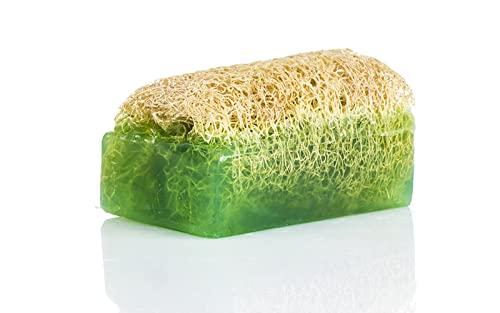 SABUN NATURALLY LAVISH Argan Oil Loofah Soap Bar - Natural Exfoliating Soap with Loofah Inside - Smells Like Bright Floral Citrus - Handmade with Moroccan Argan Oil, Jojoba Oil - Face & Body Scrub Bar [4.4 oz - 125 gr]