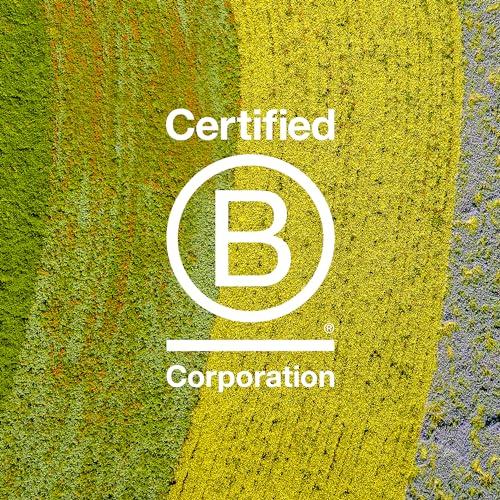 Davines Davines Naturaltech NOURISHING Shampoo & Conditioner, Gentle Cleansing Action For Dehydrated, Dry & Brittle Scalp, Adds Softness & Brightness, Hydrates Unsctructured Hair, 8.45 & 8.884 fl. oz.