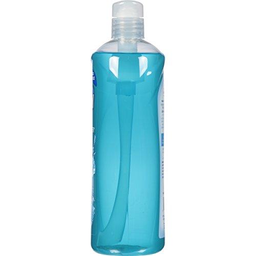 Dial Dial Body Wash, Refresh & Renew Spring Water, 32 fl oz