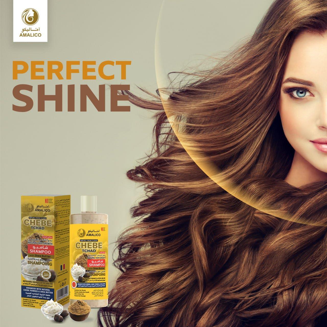 AMALICO Sulfate Free Shampoo with Chebe Powder and Shea Butter (16.9 OZ) Hair Shampoo for Hair Growth and Anti-dandruff Shampoo