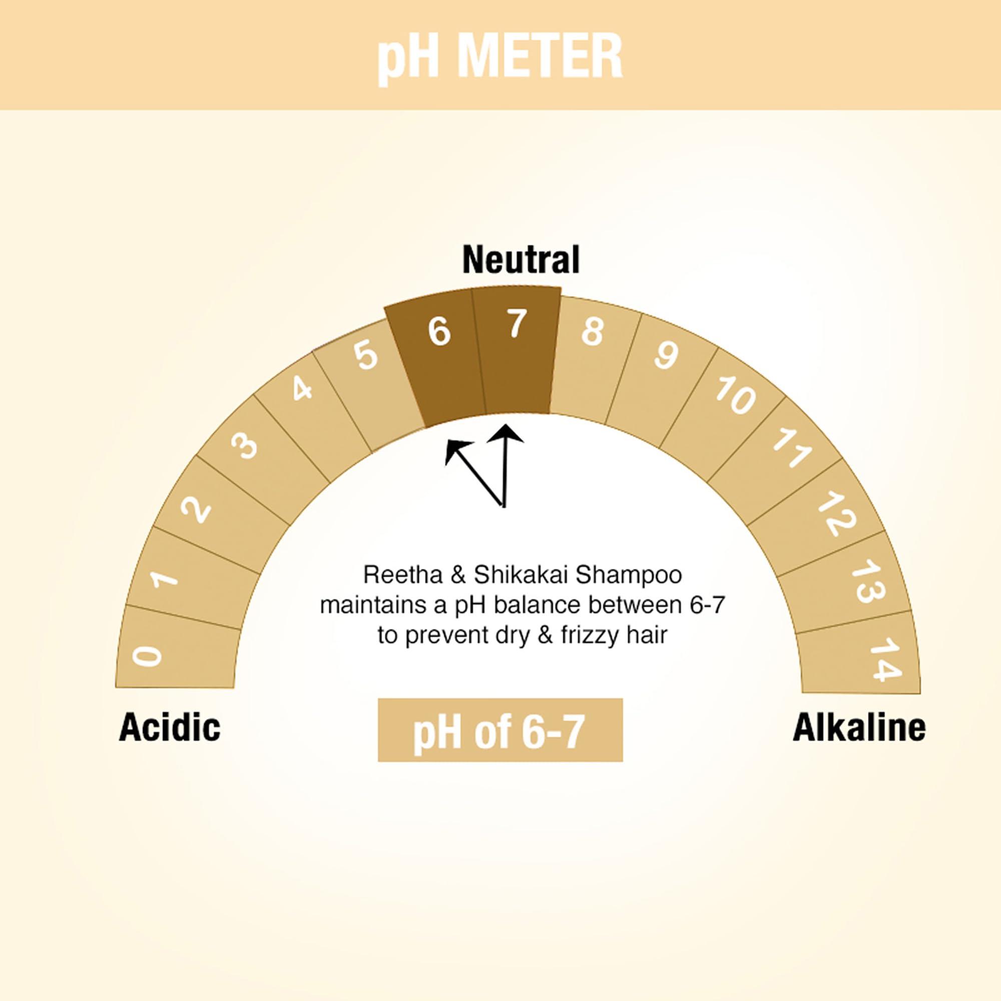 Nykaa Naturals Nykaa Naturals Shampoo, Reetha and Shikakai, 6.76 oz - Hair Growth Shampoo - Revives Dull Hair and Strengthens Roots - Safe for Colored Hair