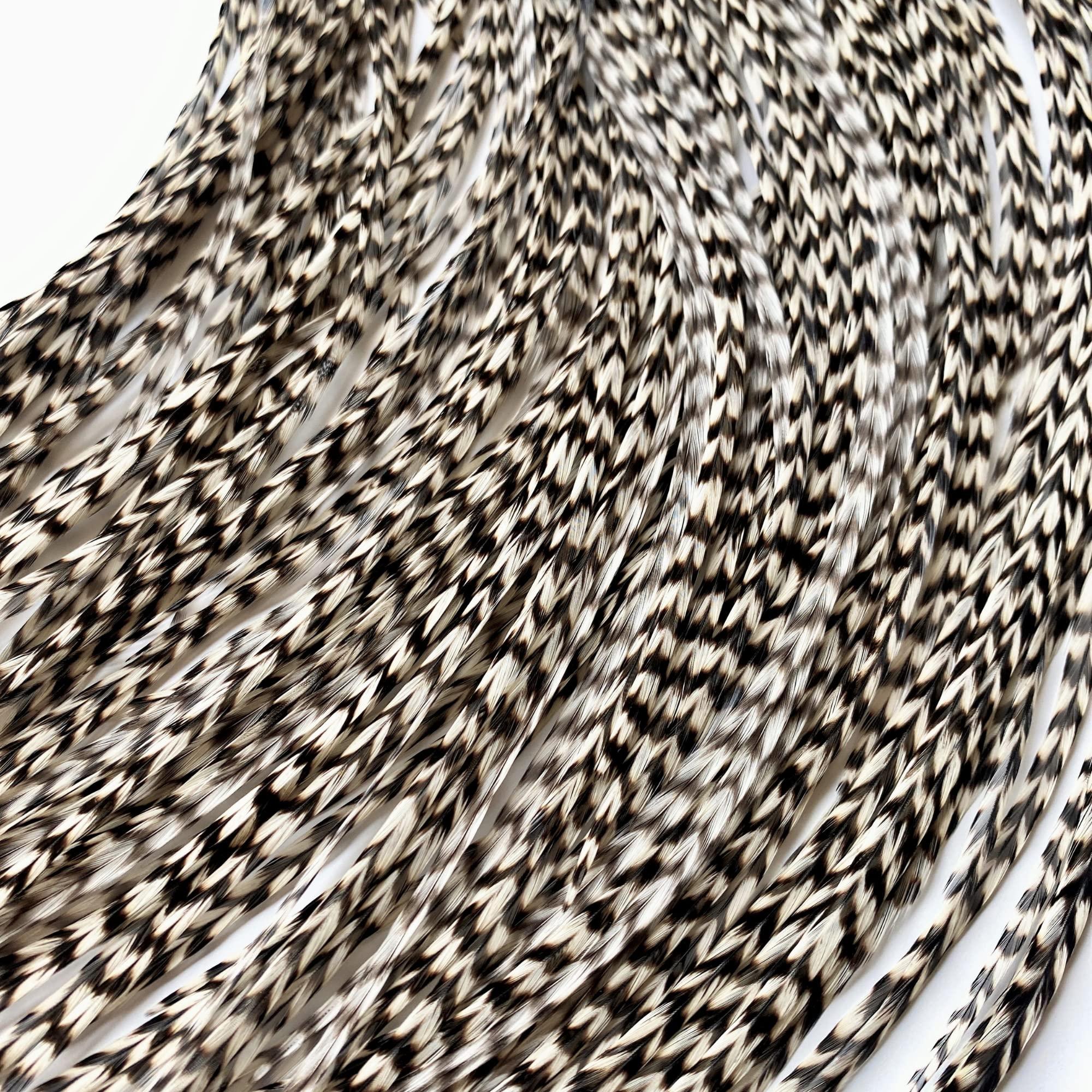 Feather Lily Hair Feathers and Tool Kit, Pink, Purple, Blue and Black & White Striped Feather Extensions with Beads, loop tool and pliers