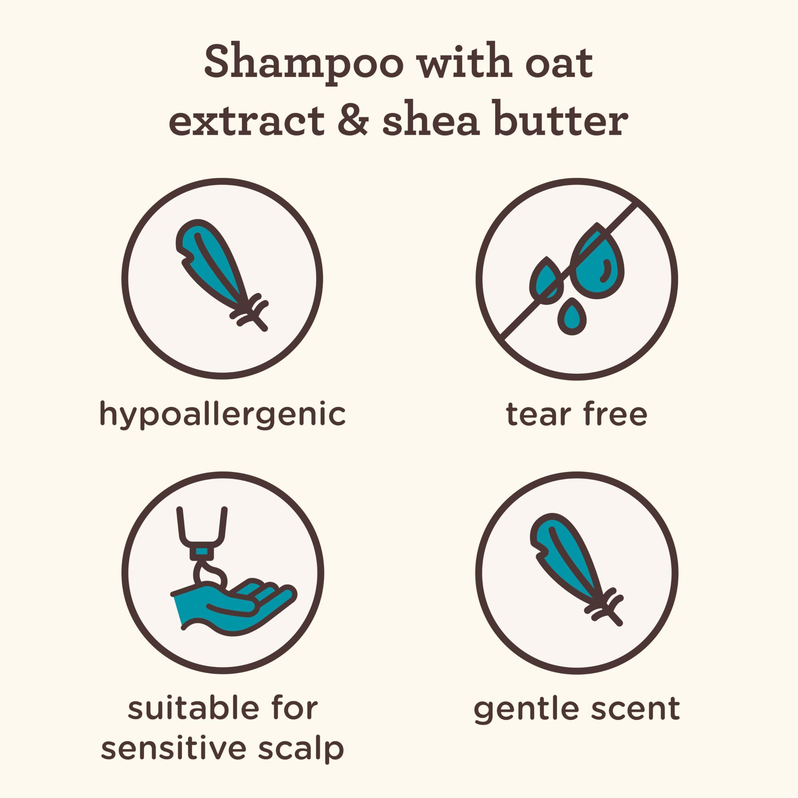 Aveeno Baby Aveeno Kids Curly & Coily Hair Shampoo, Hydrating Shampoo for Type 3 & 4 Hair, Kids Curly Hair Products suitable for Sensitive Scalps with Oat Extract & Shea Butter, Paraben-Free, 12 fl. oz