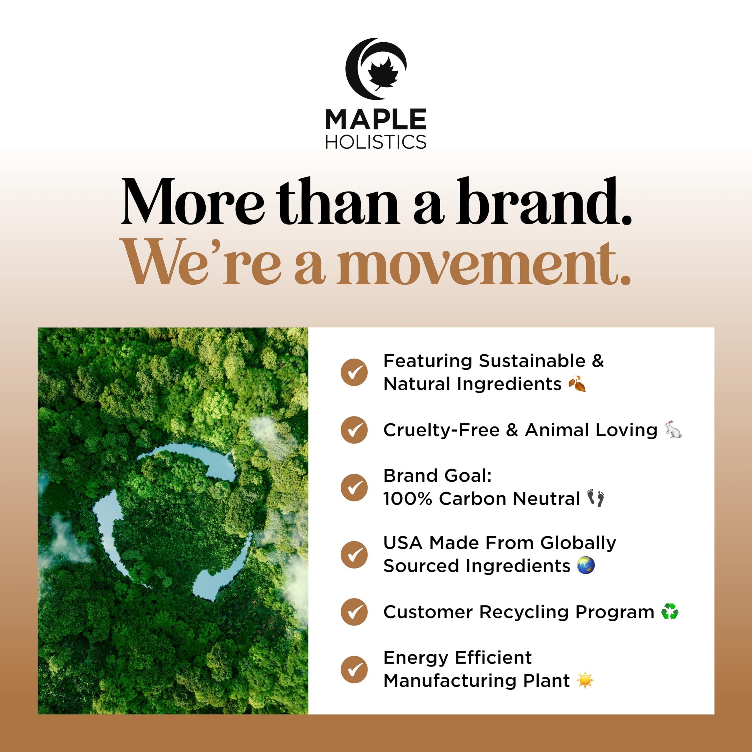 Maple Holistics Silk Protein Conditioner for Damaged Hair - Ultra Moisturizing Conditioner for Dry Hair with Deeply Nourishing Shea Butter Argan Oil Green Tea & Aloe - Helps Define Curls & Control Frizz (16 Fl Oz)