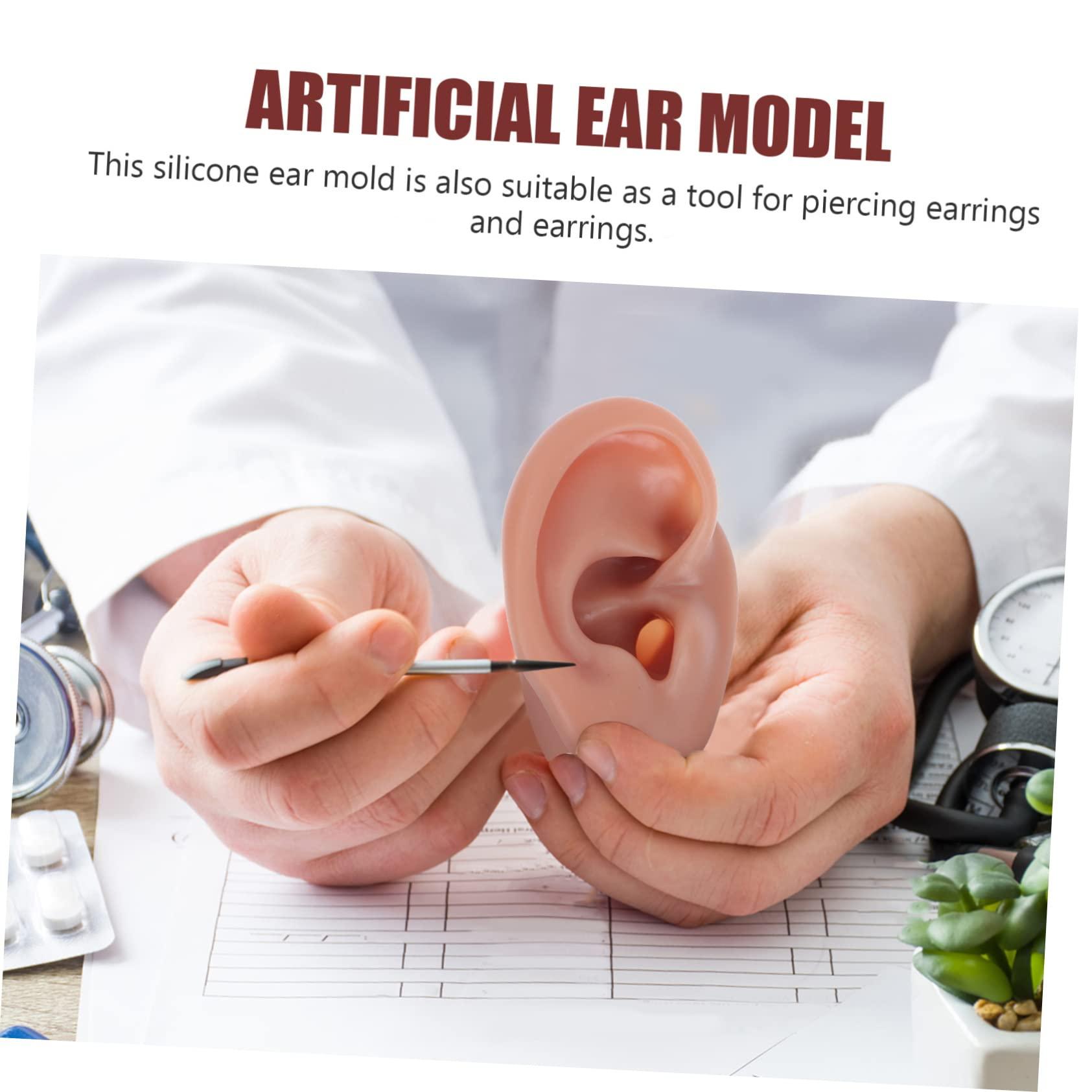 BIUDECO BIUDECO 1pc Human Ear Model Ear Picker Headphones Ear Defenders Ear Practice Model Reusable Earwax Symmetry Ear Cleaning Loop Lanyard Vibes Earphones Coffee