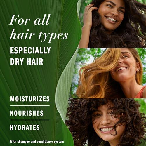 Herbal Essences Herbal Essences Shampoo, 13.5 Fl Oz, Honey Daily Moisture, Sulfate Free, Nourishes, with Certified Camellia Oil and Aloe Vera, For All Hair Types, Especially Dry Hair