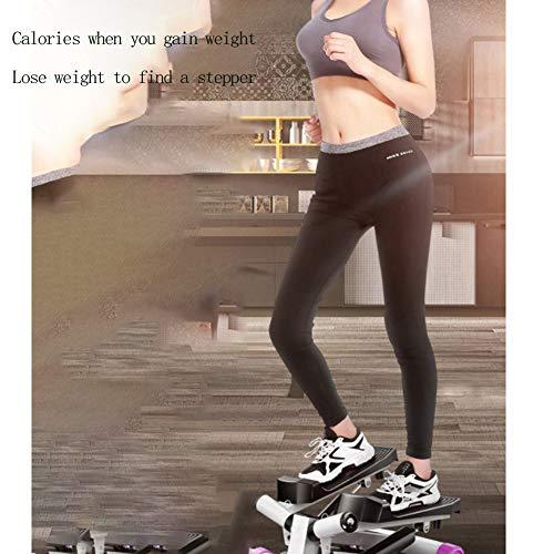 RsFiL Fitness Stair Stepper Health Fitness Twist Stepper with Resistance Bands with Powerful Hydraulic Mute Stepper for Home Workout and Exercise