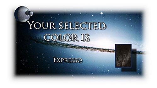 Rene of Paris Rene of Paris Wigs : Shannon (#2342) (Expresso)