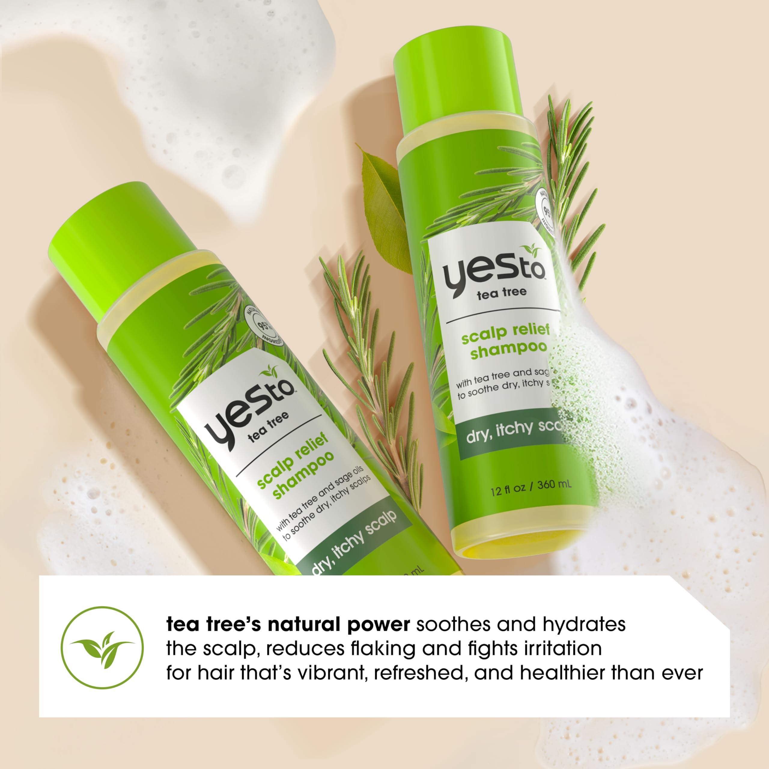 Yes To Yes To Tea Tree Scalp Relief Shampoo, pH Balancing Formula To Calm Dry Itchy Scalp While Moisturizing & Nourishing Hair, With Tea Tree & Sage Oil, Natural, Vegan & Cruelty Free, 12 Fl Oz 2PK