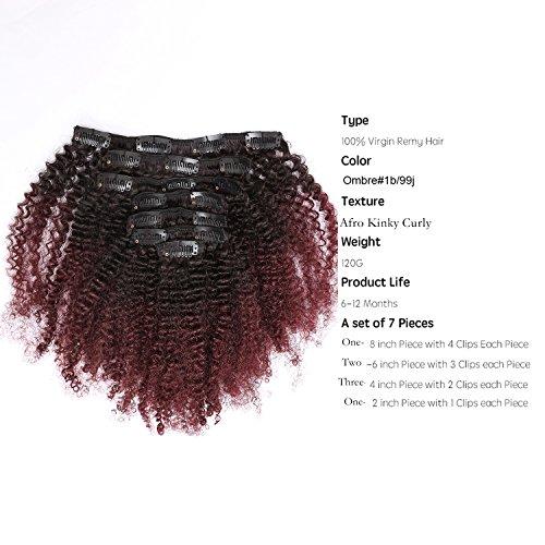Loxxy Afro Kinky Clip Ins Human Curly Hair Clip In Extensions 3C 4A 4B Natural Afro Kinkys Curly Hair Extensions Clip In For Black Women Two Tone Ombre Color 8A Grade Afro Curly Clip Ins #1b/99j 20 Inch