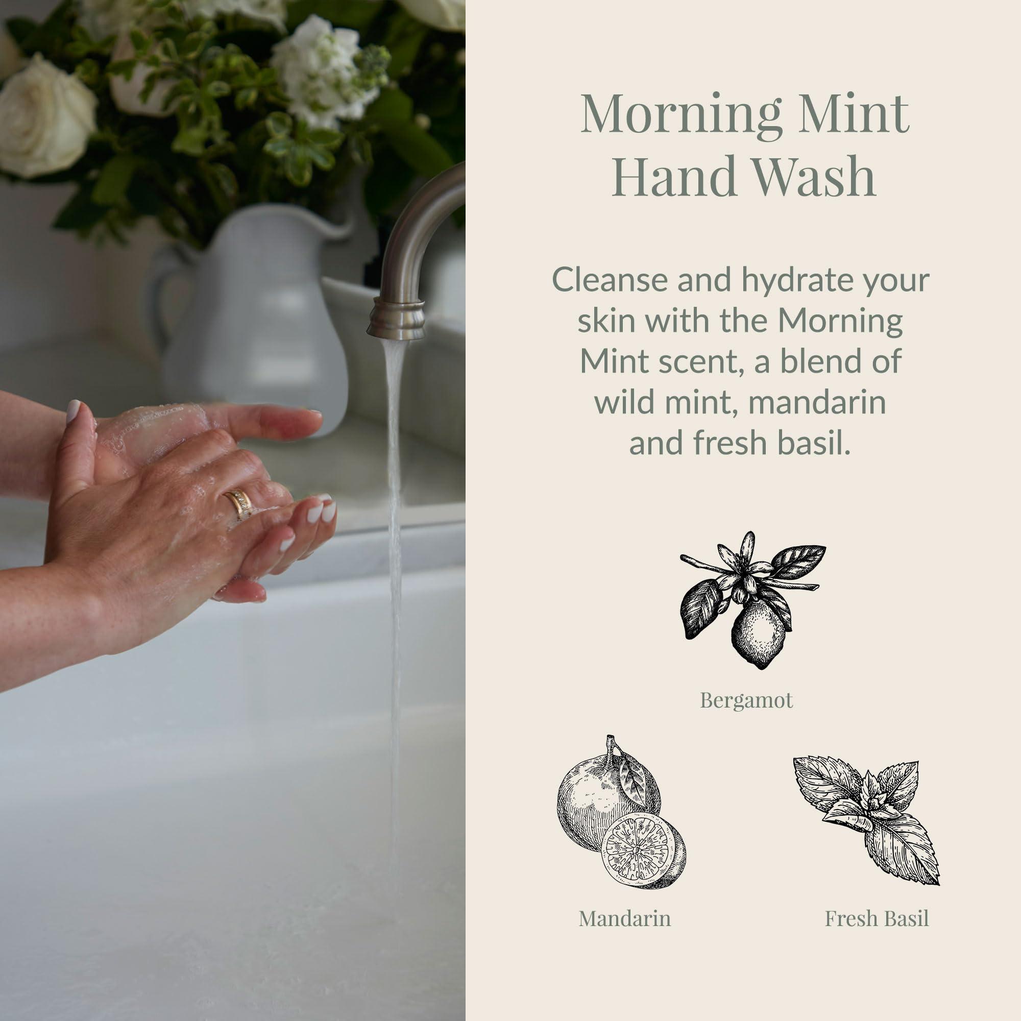 Archipelago Botanicals Archipelago Botanicals Morning Mint Glass Bottle Hand Wash, Liquid Hand Soap for Kitchen or Bathroom, Moisturizing Hand Wash with Pump, 14.5 fl oz