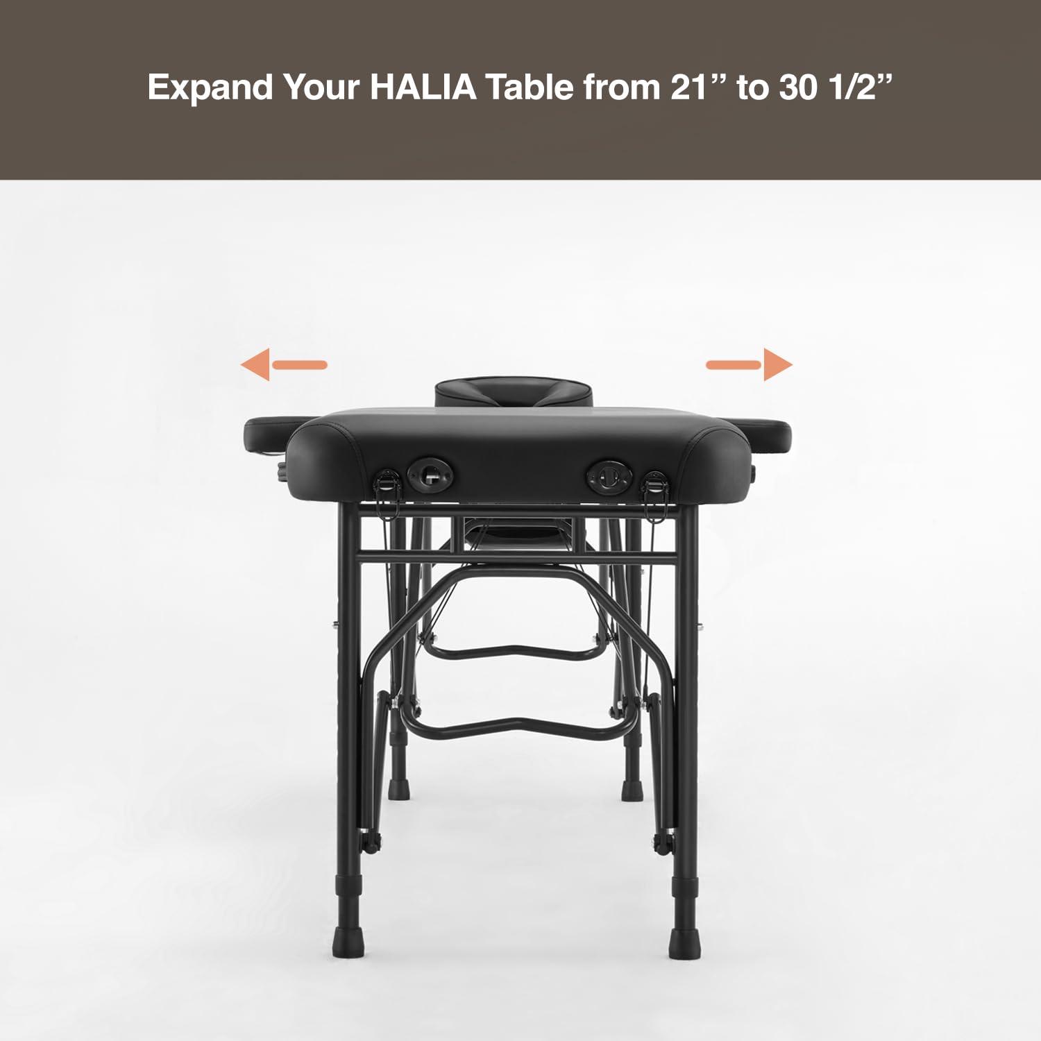 DR.LOMILOMI DR.LOMILOMI Massage Table Foldable Side Arm Extenders with Carry Case for Halia 302 Mobile Massage Table, Adds 10.5 to Table Width (A Set of 2) (English Violet)