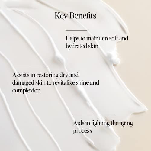 Dime Dime Beauty Restorative Night Cream, Facial Moisturizer with Ceramides and Sea Buckthorn, 1.7 oz / 50 ml