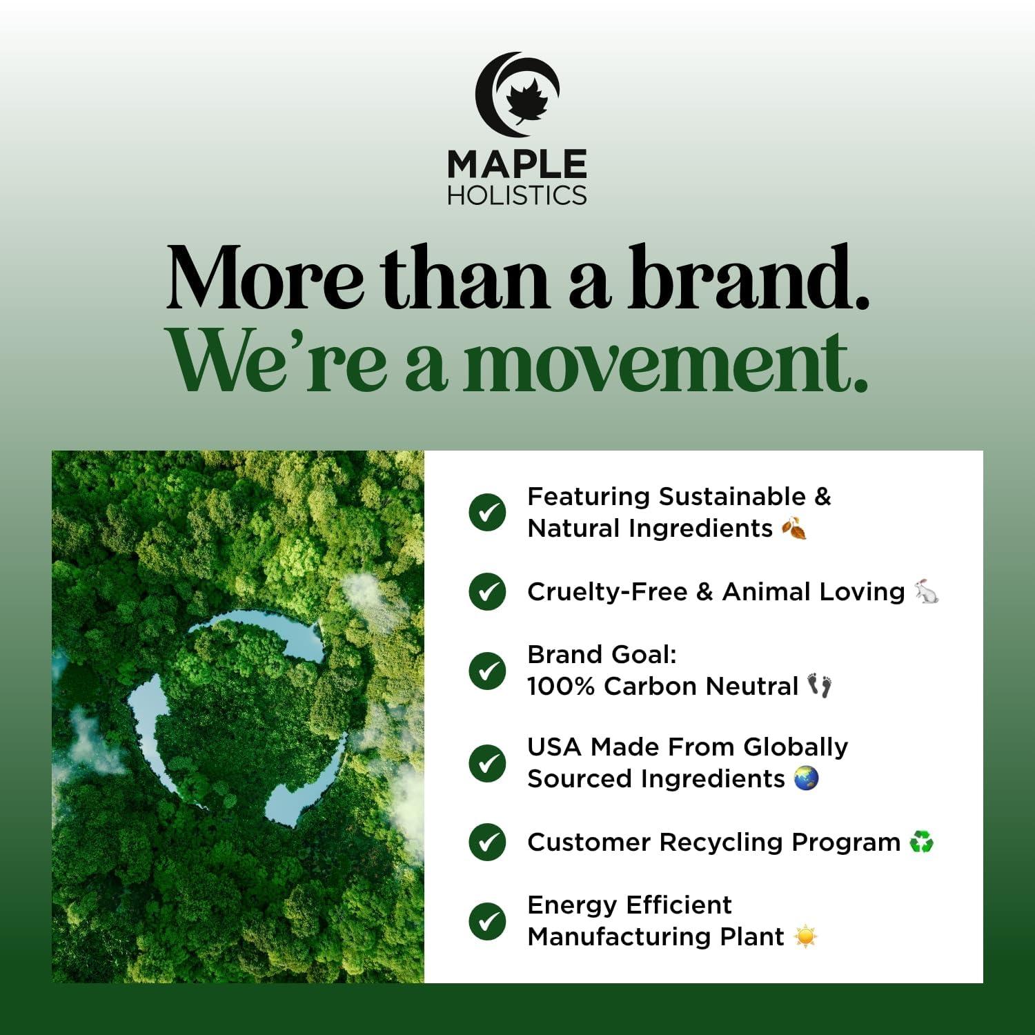 Maple Holistics Tea Tree Shampoo and Conditioner Set - Sulfate Free Clarifying Shampoo and Conditioner for Oily Hair & Scalp Care with Australian Tea Tree Oil - Complete Dry Scalp Treatment for Build Up (25 Fl Oz)