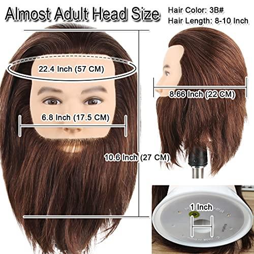 Newshair NEWSHAIR Male Mannequin Head with Beard 100% Human Hair Haircut Training Head with Thick Hair Hairdresser Manikin Head Doll Head for Styling and Practice Handsome Face Adult Head Size (8-10Inch 3B#)
