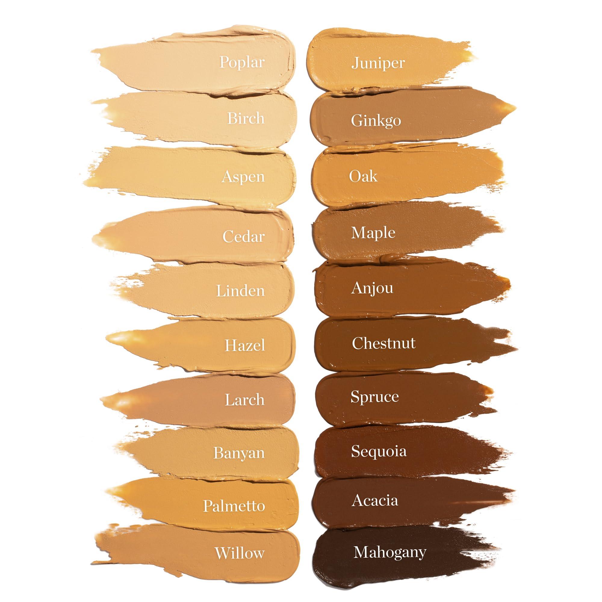 Ogee Ogee Sculpted Complexion Foundation Stick (Poplar 0.10C Fair, White-Pink Undertones) Full Coverage Foundation Makeup - Instantly Balance & Even Complexion - 70% Organic Ingredients